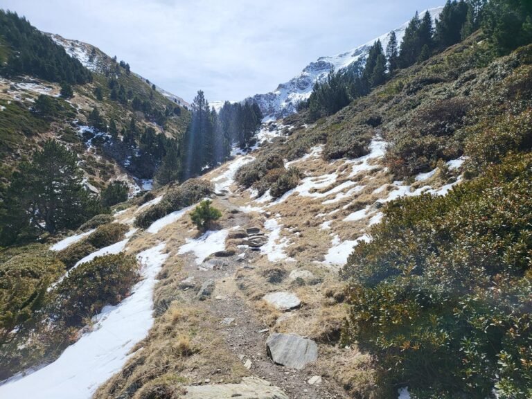 Retrobem el camí