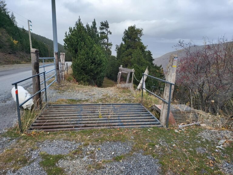 Entrem al camí pel pas canadenc