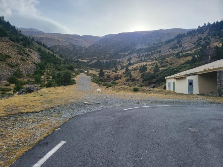 Deixem la carretera i entrem al camí